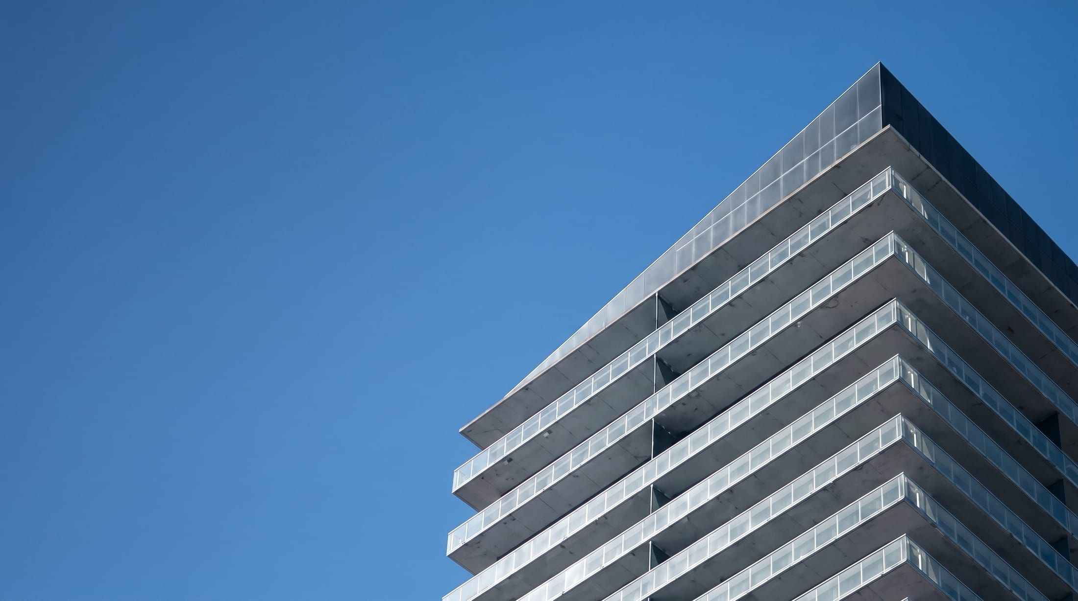 Brilho Digital — guided by proven leadership